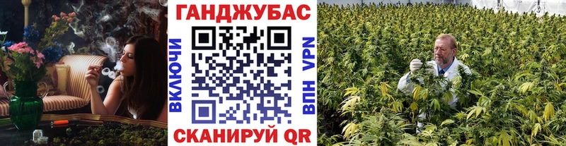 Конопля индика  Камызяк 