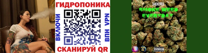 Бошки марихуана планчик Камызяк